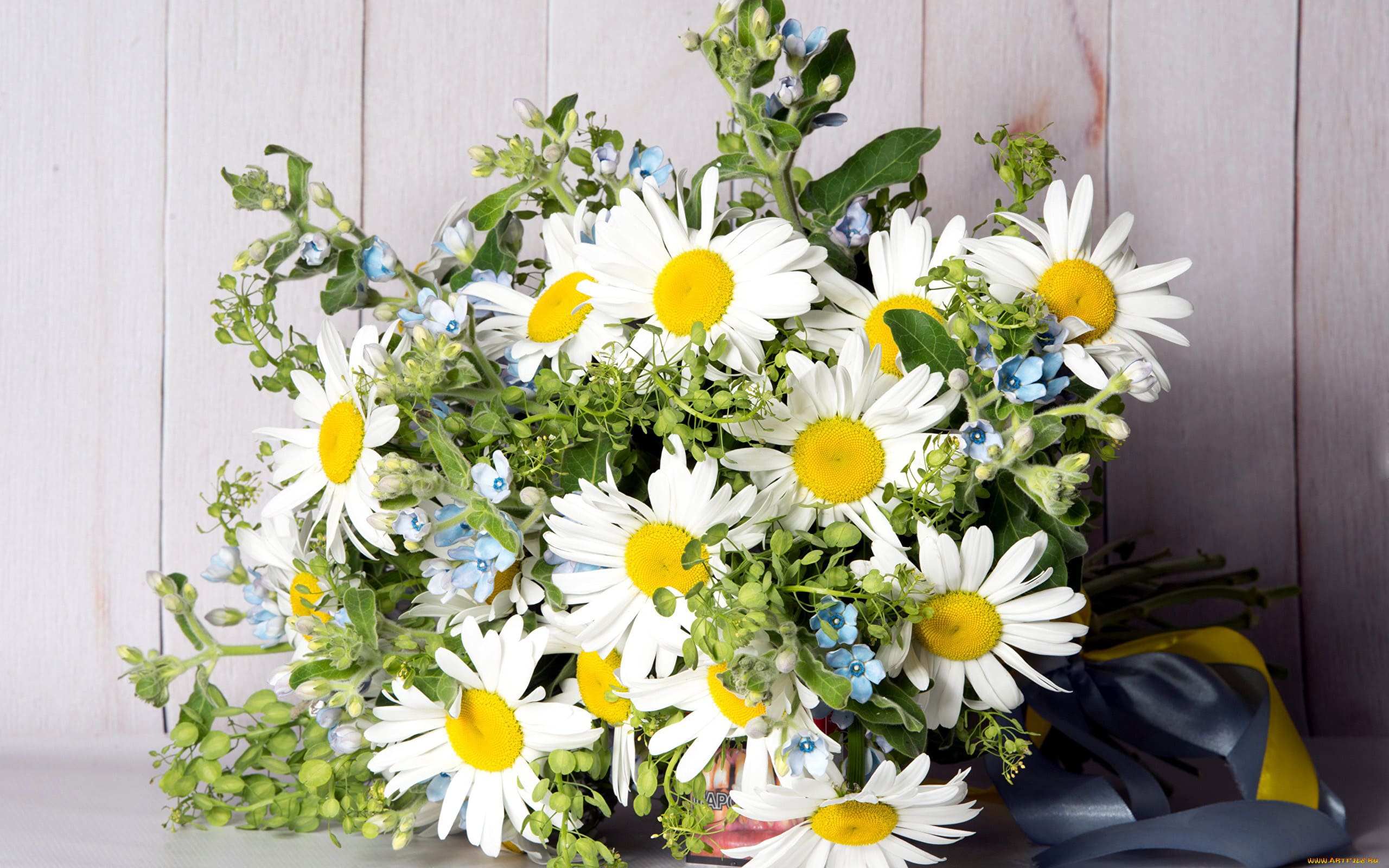 1645715014 1 krot info p buket polevikh tsvetov s romashkami tsveti 1 2