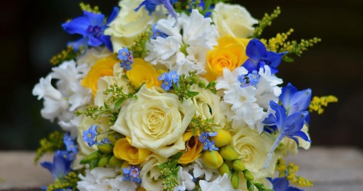 9594e9c3be13db53ca2d9546b18f55d3