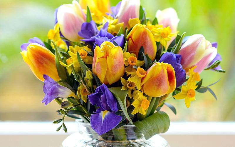 HD wallpaper beautiful flowers tulips daffodils flowers irises