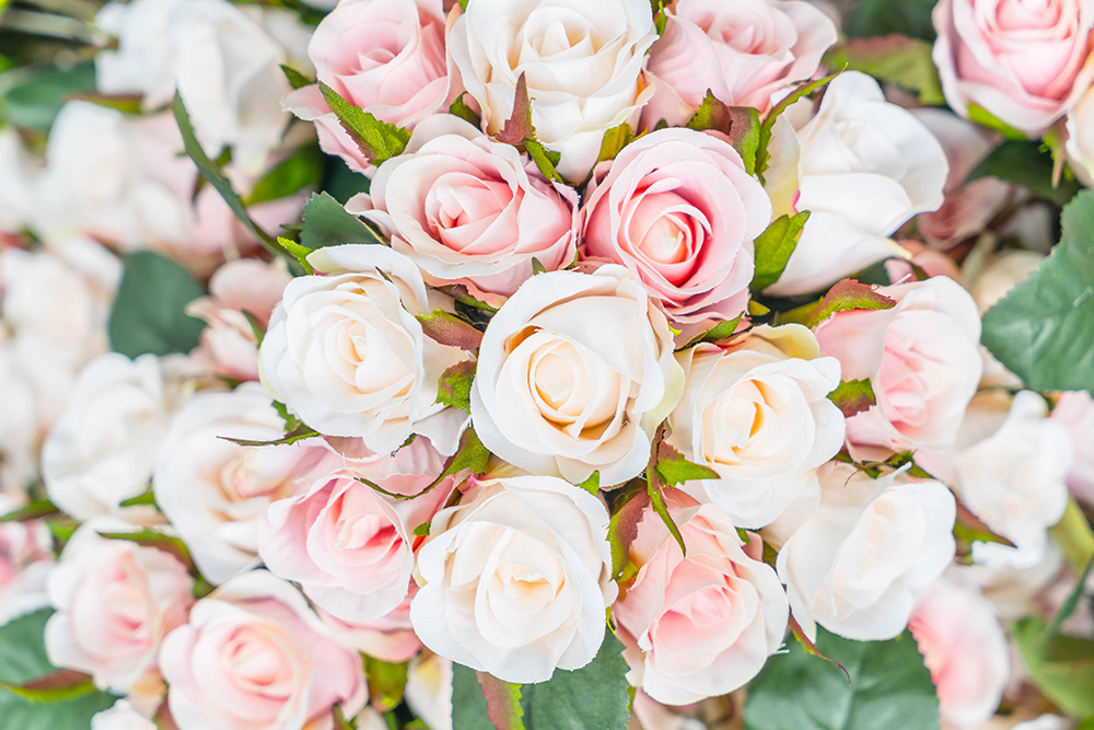 Вітання іменинників січня 2025!