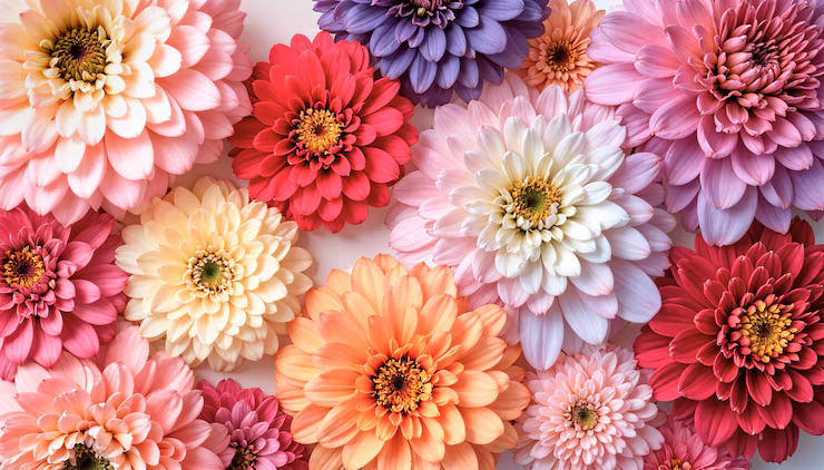 pngtree flower delight captivating hd nature wallpaper for iphone aesthetic original public image 16204545